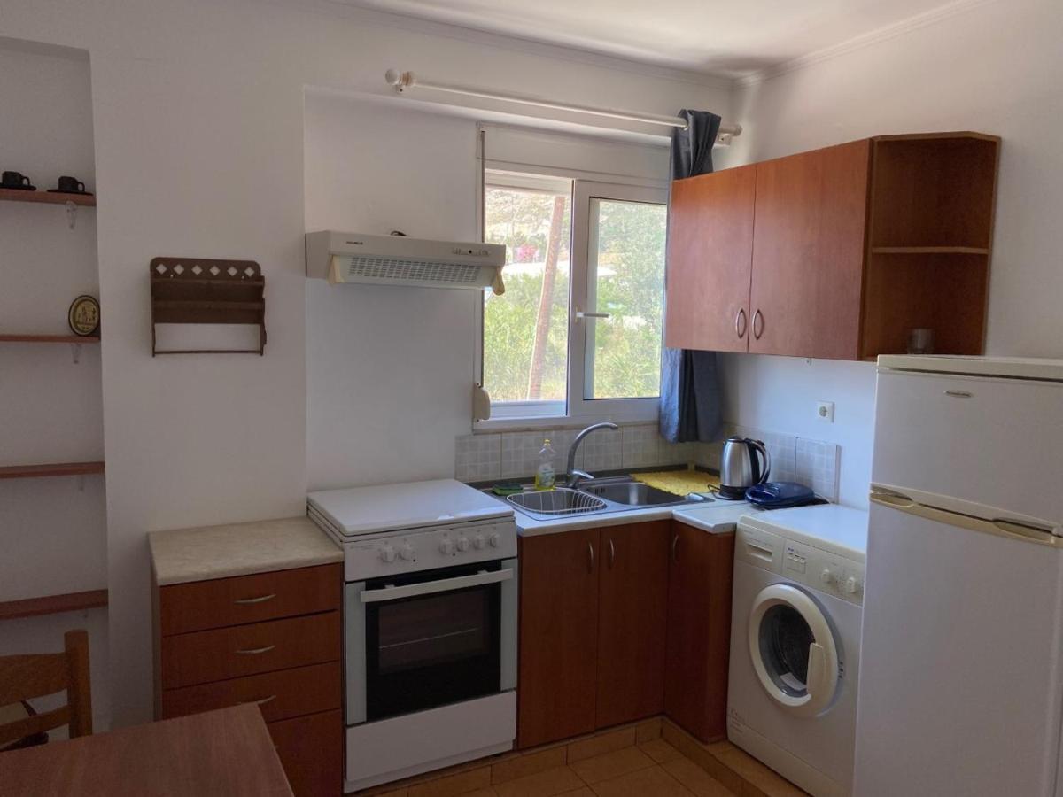 Plastiras Sea View Apartments أرخانجلوس المظهر الخارجي الصورة